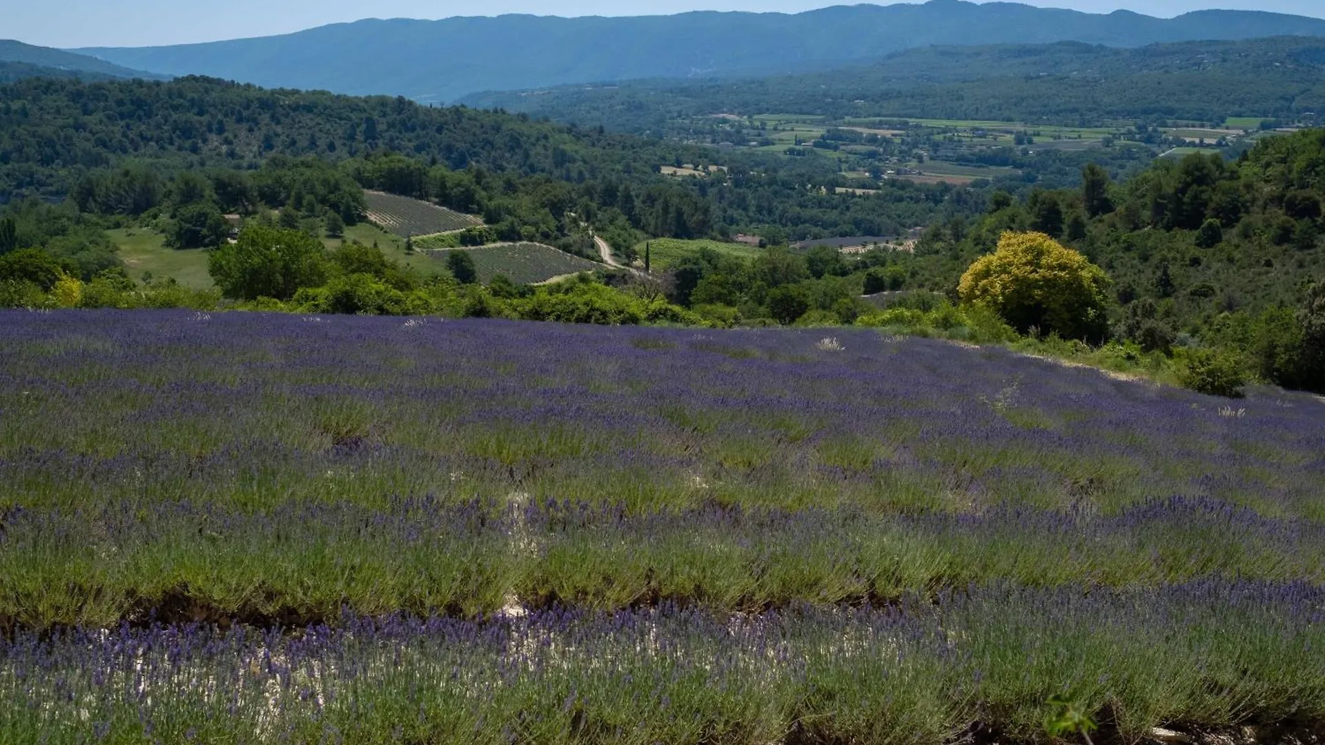 Maison De Campagne La Teranga Au Coeur Du Luberon Apt 0*,