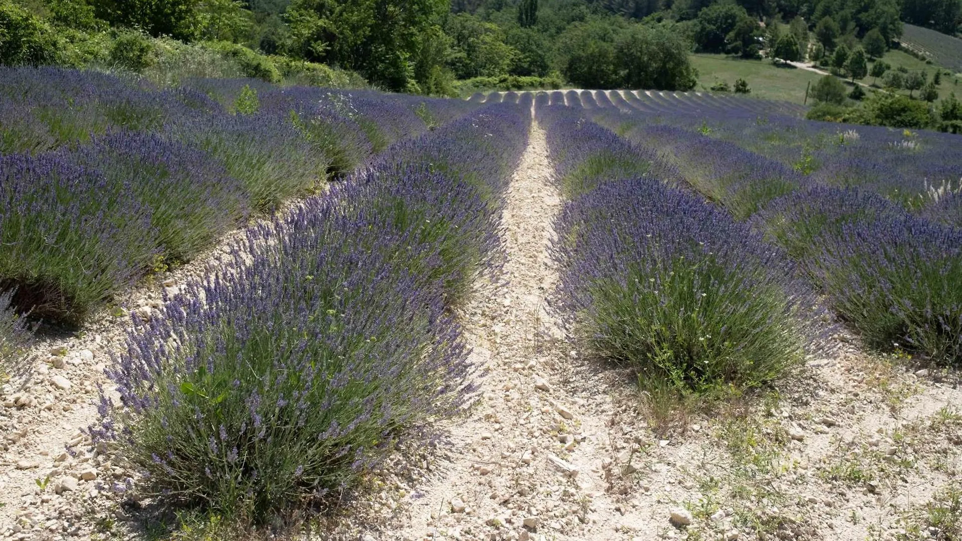 Maison De Campagne La Teranga Au Coeur Du Luberon Apt Holiday home